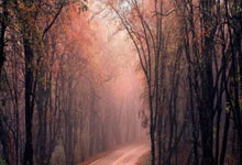 快船全面压制：卢卡奇被动被逆转