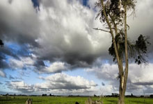 广东宏远实现六连胜，主场击败江苏队