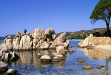 上港出击，华夏幸福难敌对手