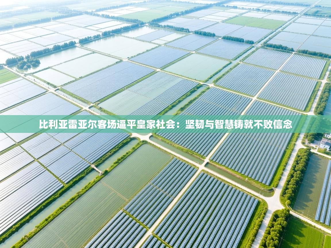 比利亚雷亚尔客场逼平皇家社会:坚韧与智慧铸就不败信念 第2张