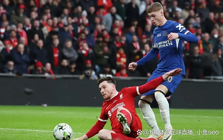 南安普顿惜败未能延续连胜的简单介绍