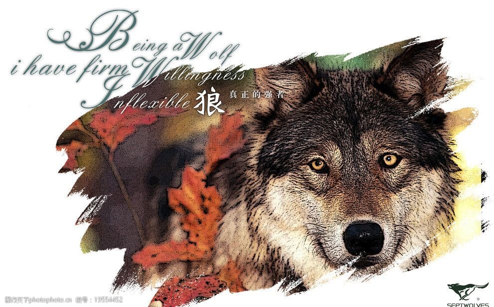 爱游戏平台-包含沙漠狼辗压对手，实力超群！的词条